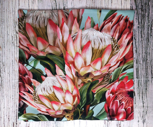 Cushion cover 18x18 - Protea