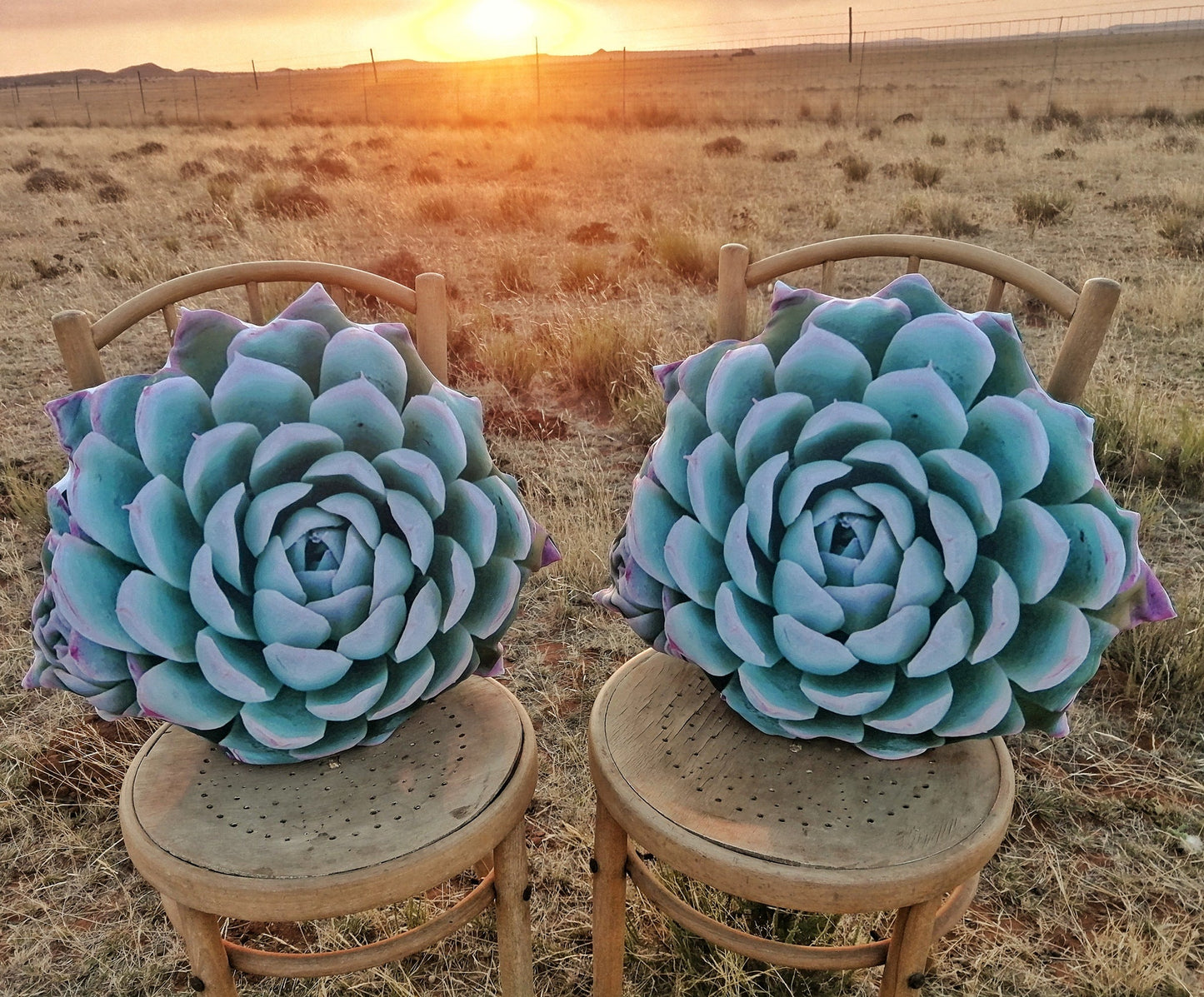 Set of 2 Cushion covers 18x18 - Vetplant